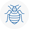 Bed Bug Extermination In Dronfield